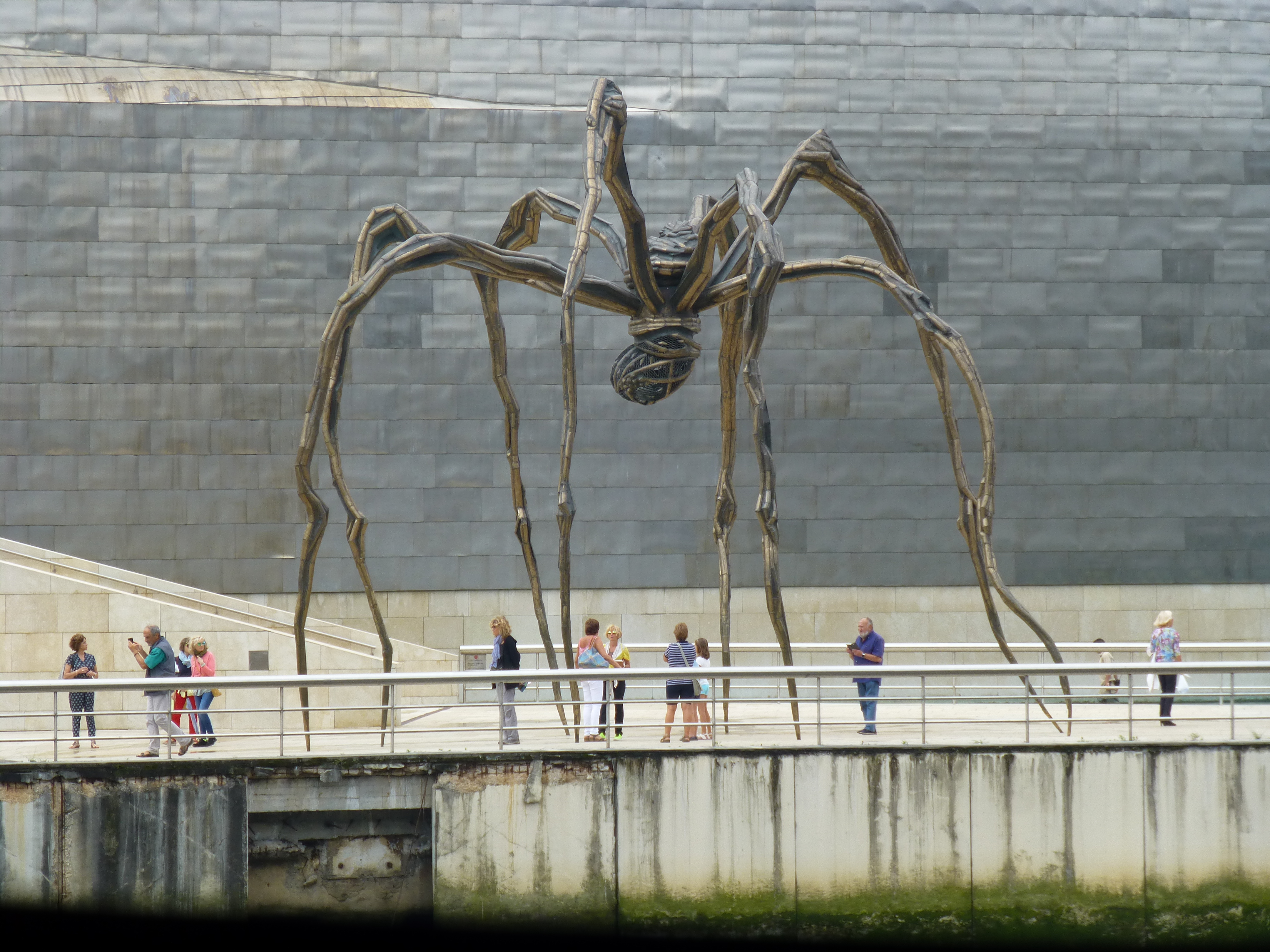 La araña grande